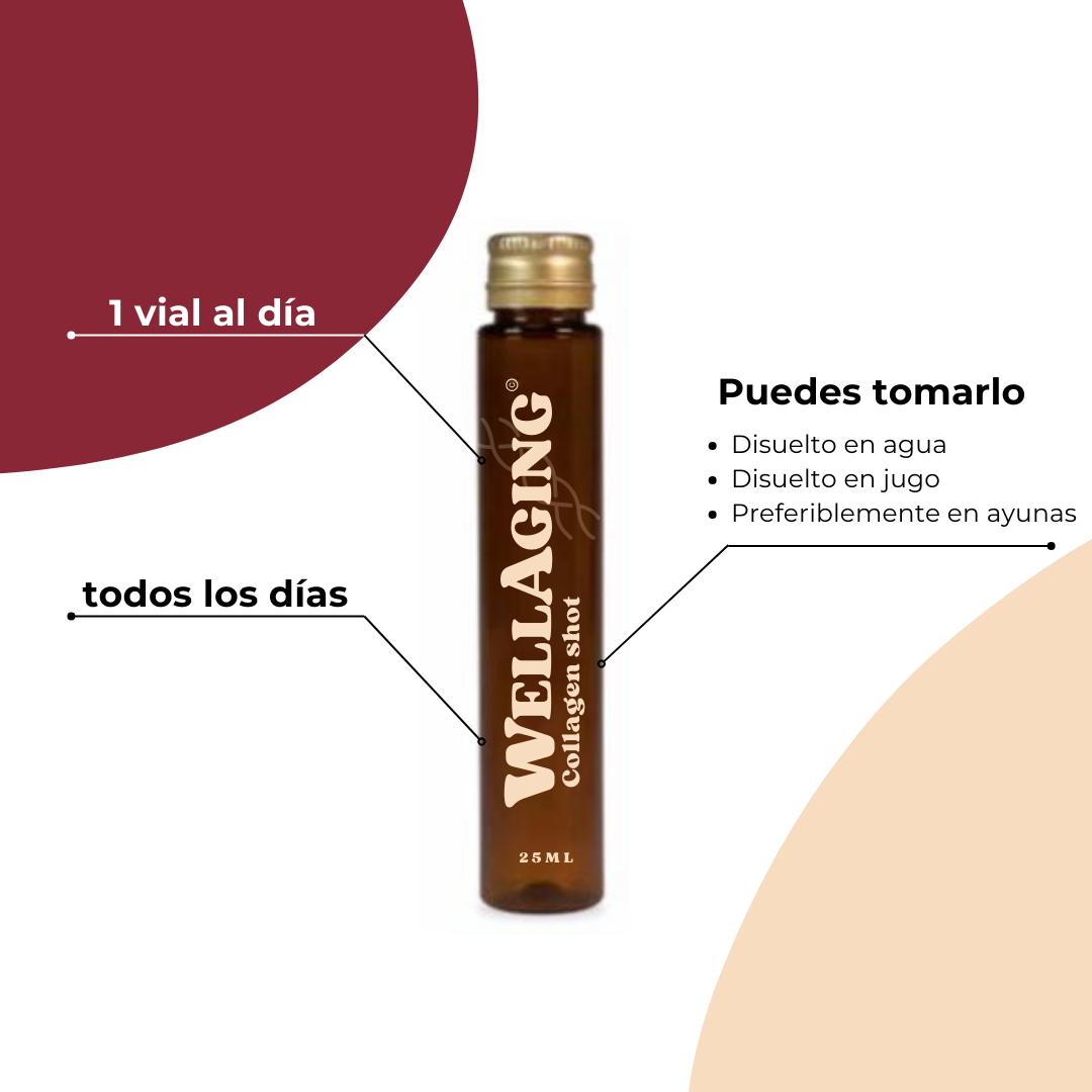 WellAging - Colágeno Hidrolizado Bebible